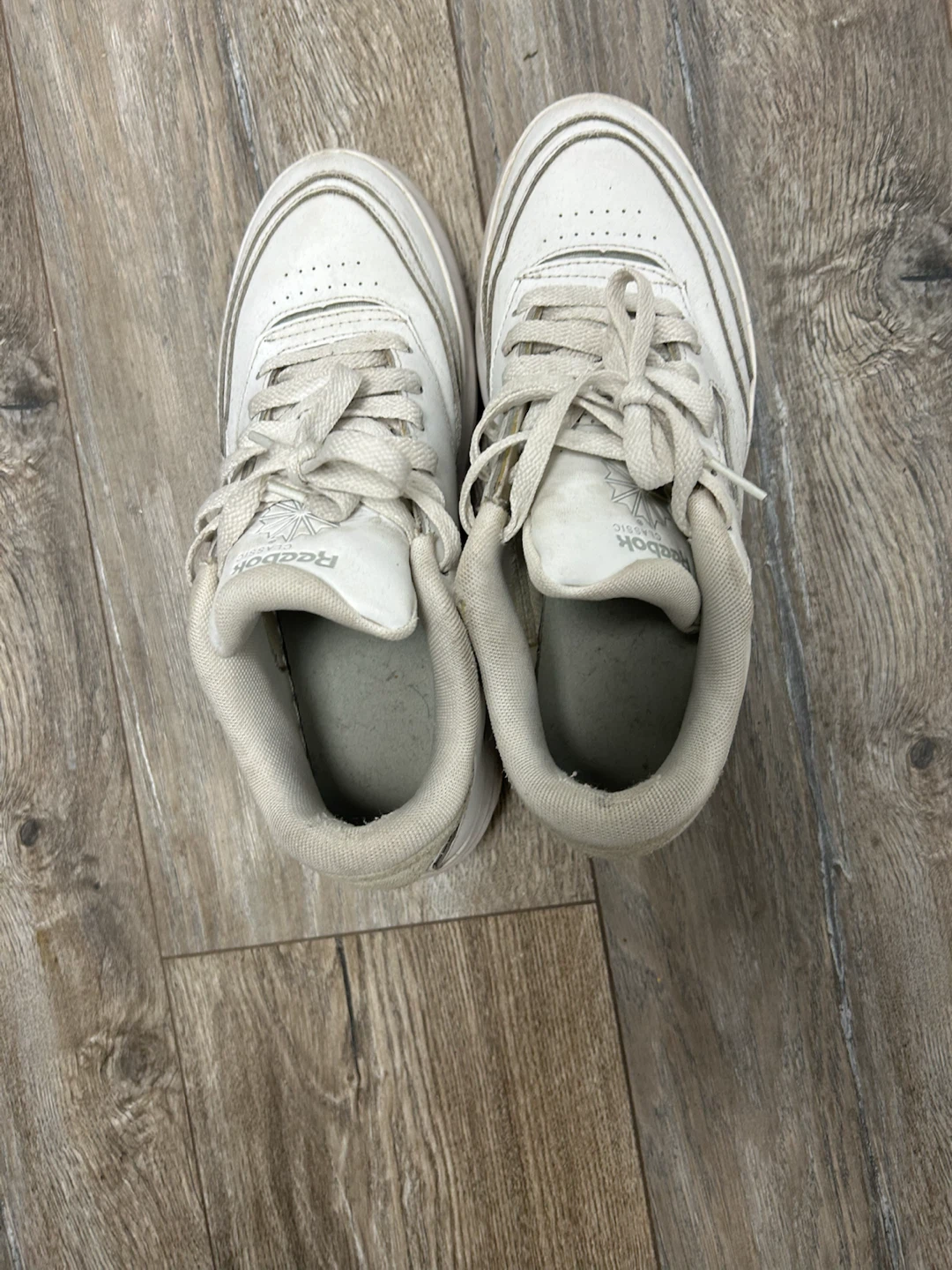 White Reebok Classic Sneakers