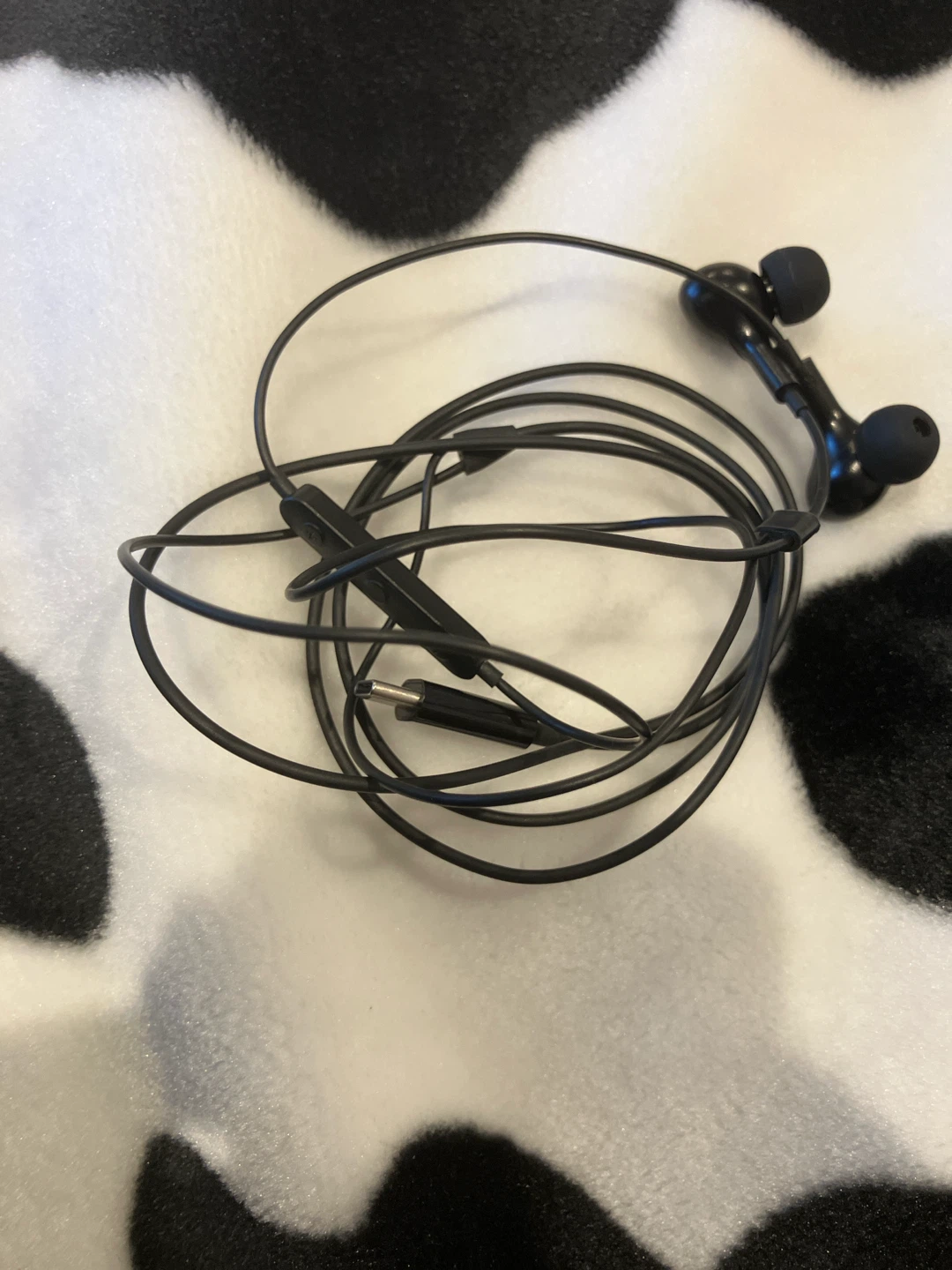 Black USB-C Earbuds with Case