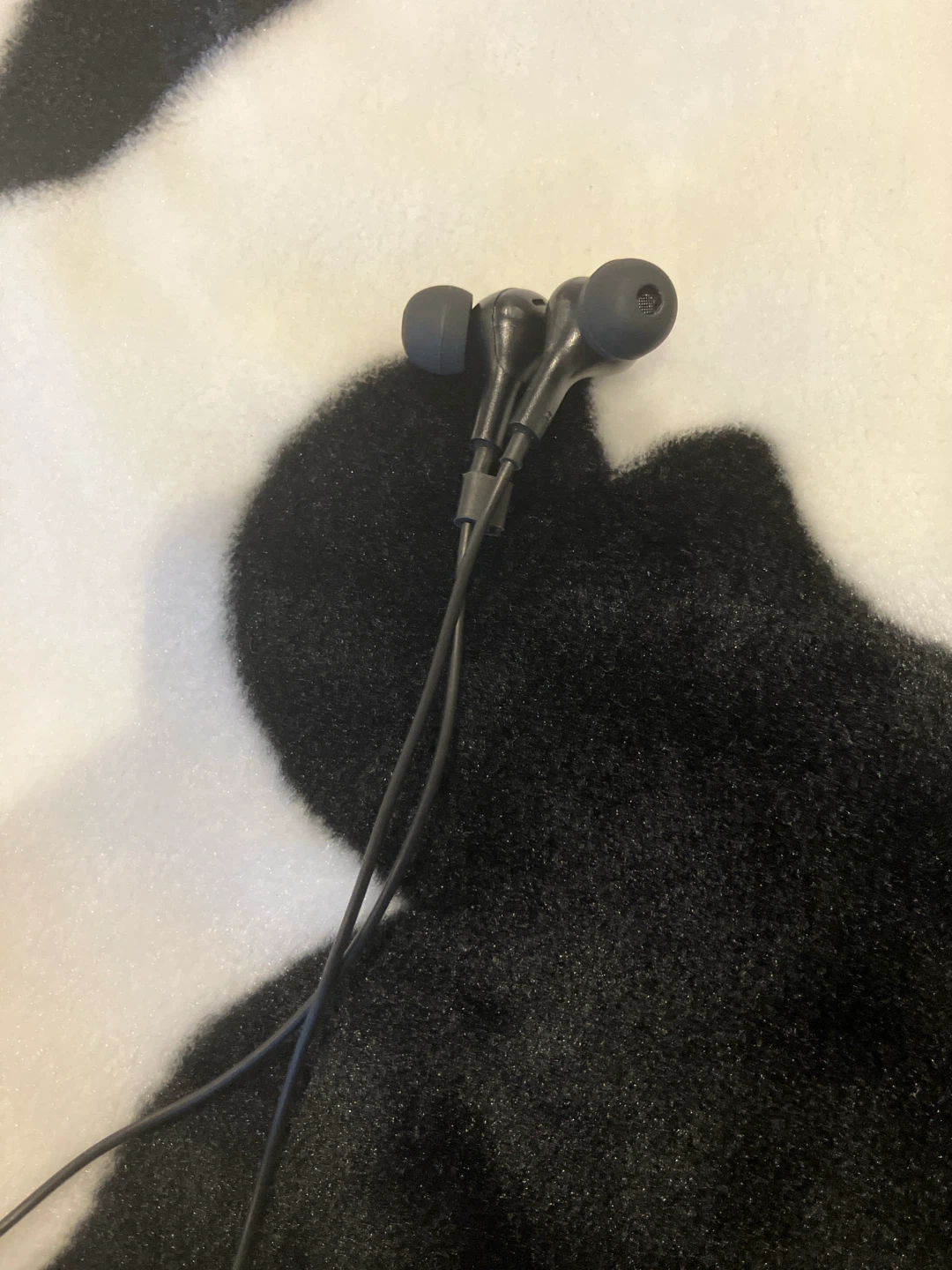 Black USB-C Earbuds with Case - photo 2