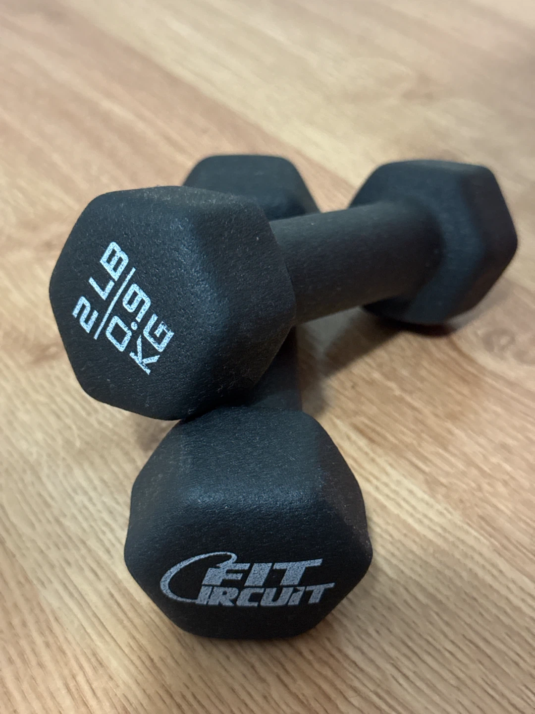 Fit-Circuit Dumbbells (2 lb / 0.9 kg)