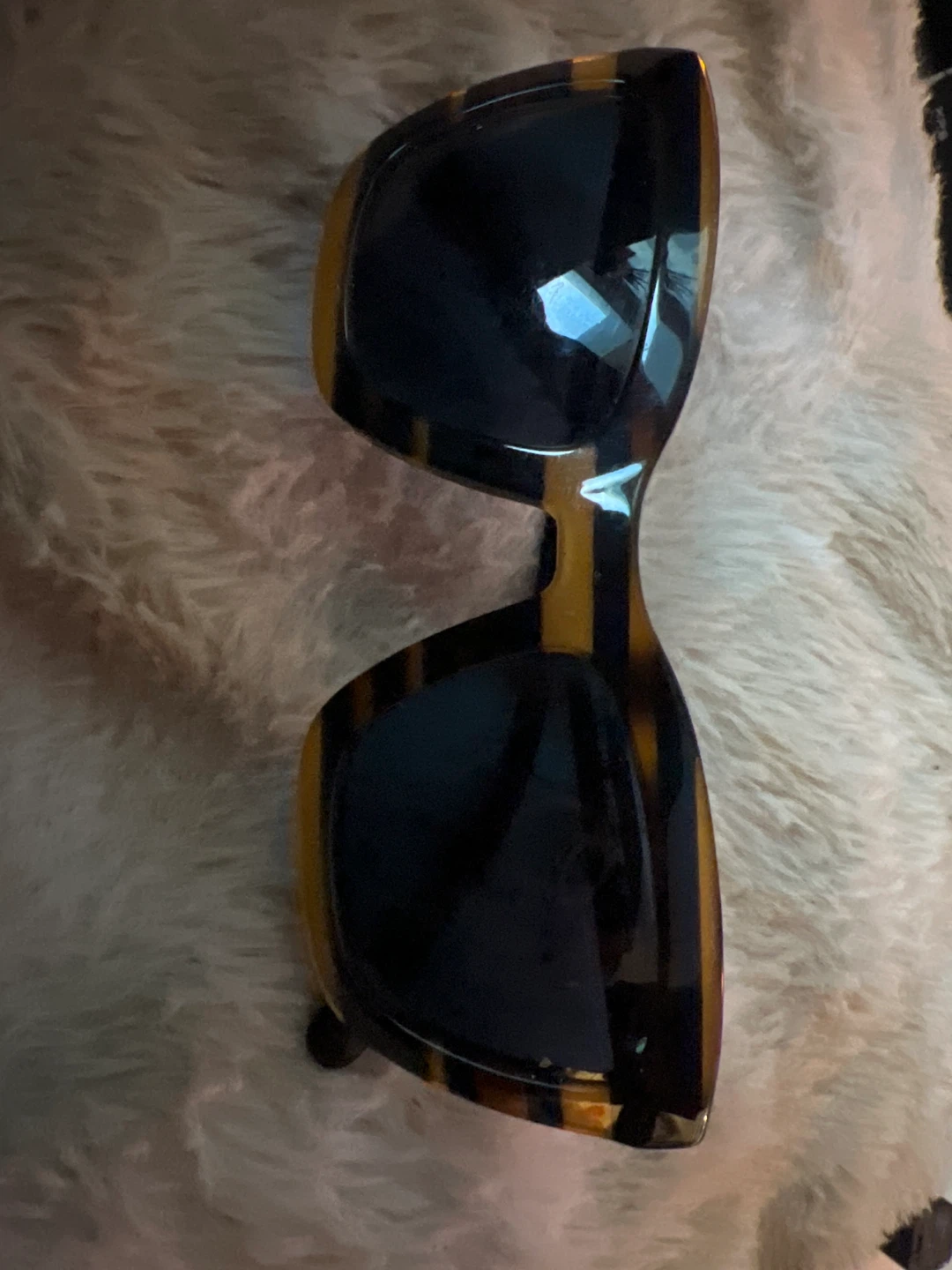 Coach Sunglasses