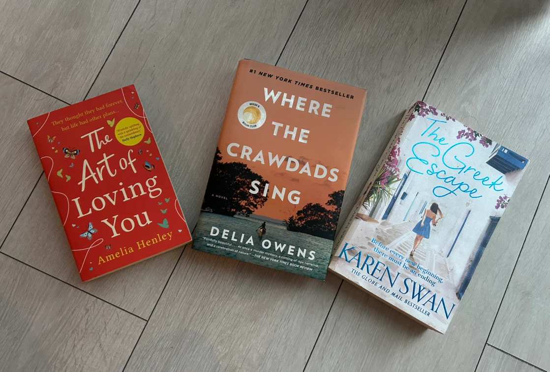 Bundle of 3 books