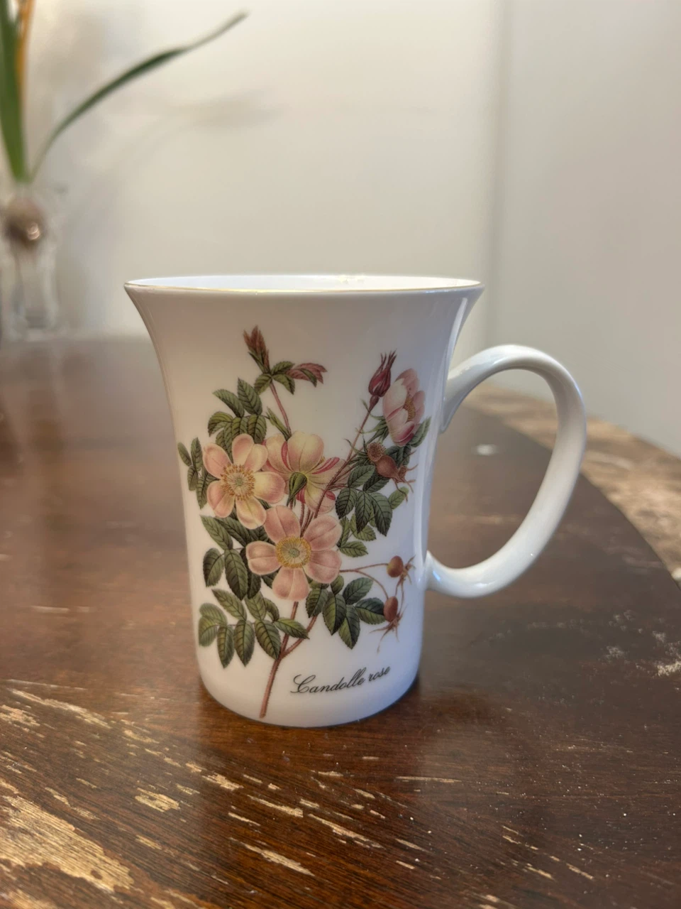 Gracie Bone China "Candolle Rose" Mug
