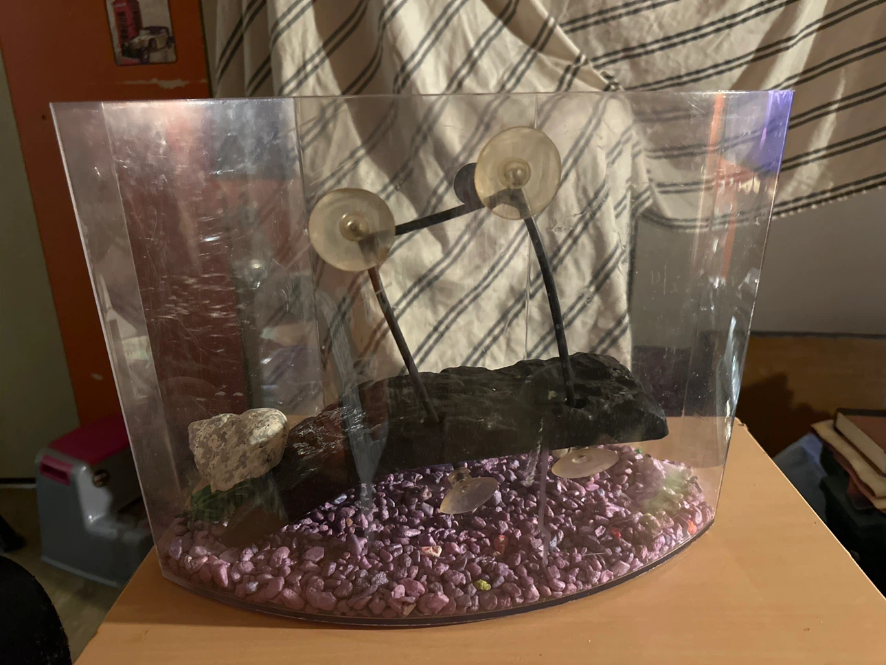 Small Plastic Fish Tank