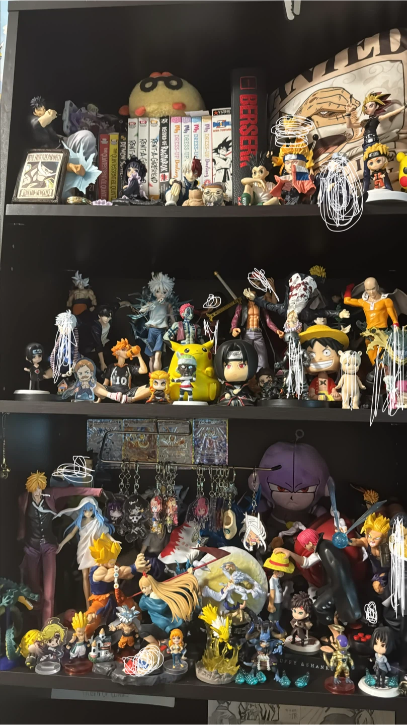 Anime Figure Collection