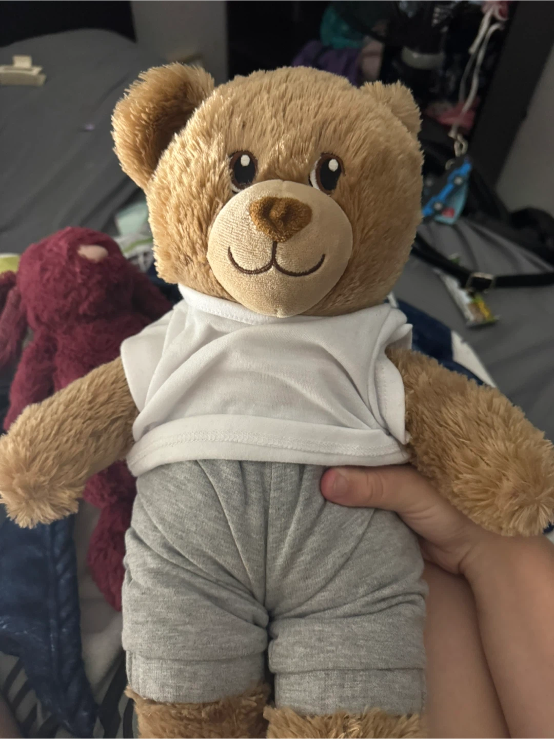 Build-A-Bear Teddy Bear with Clothes