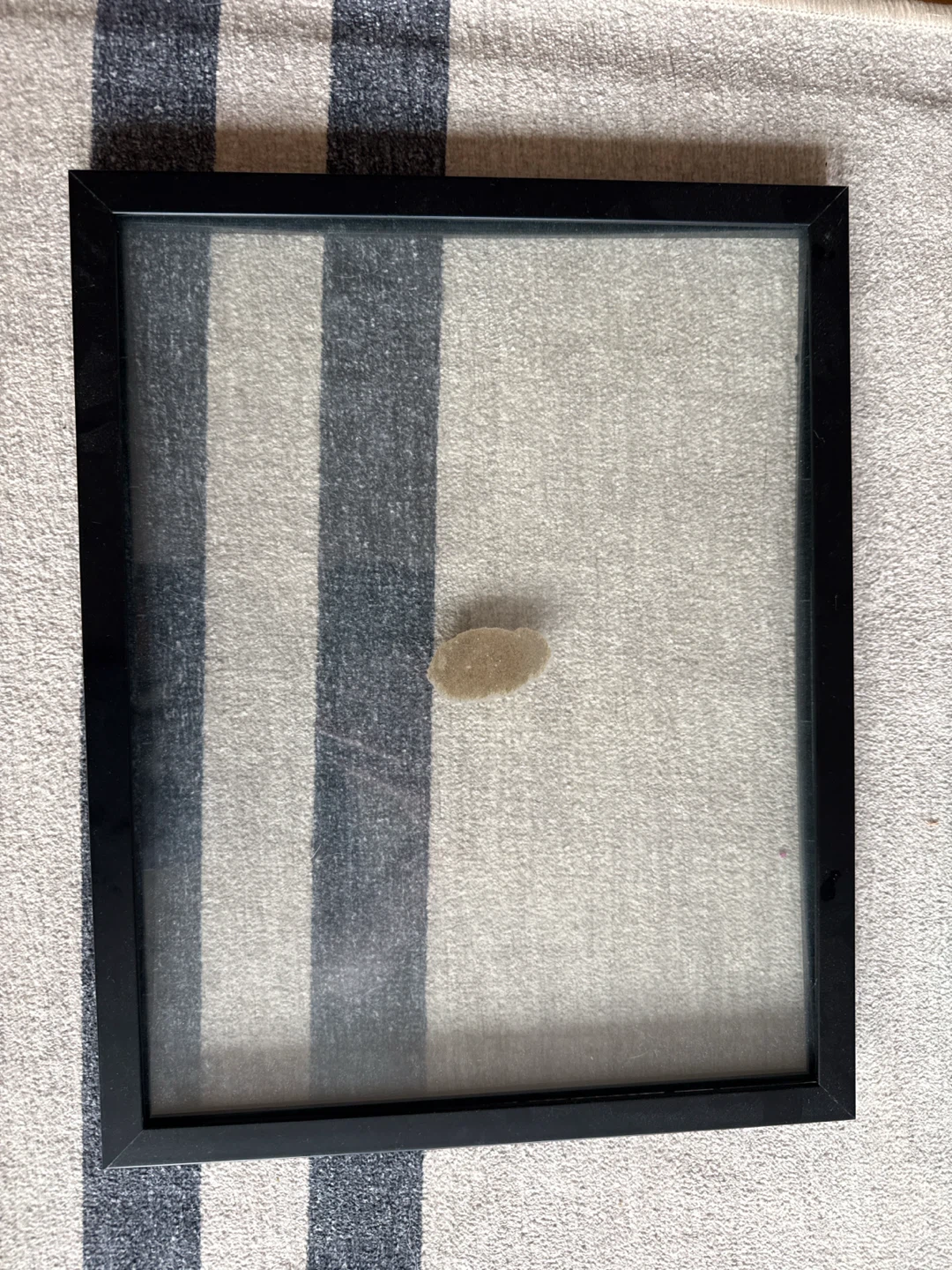 Frames - photo 4