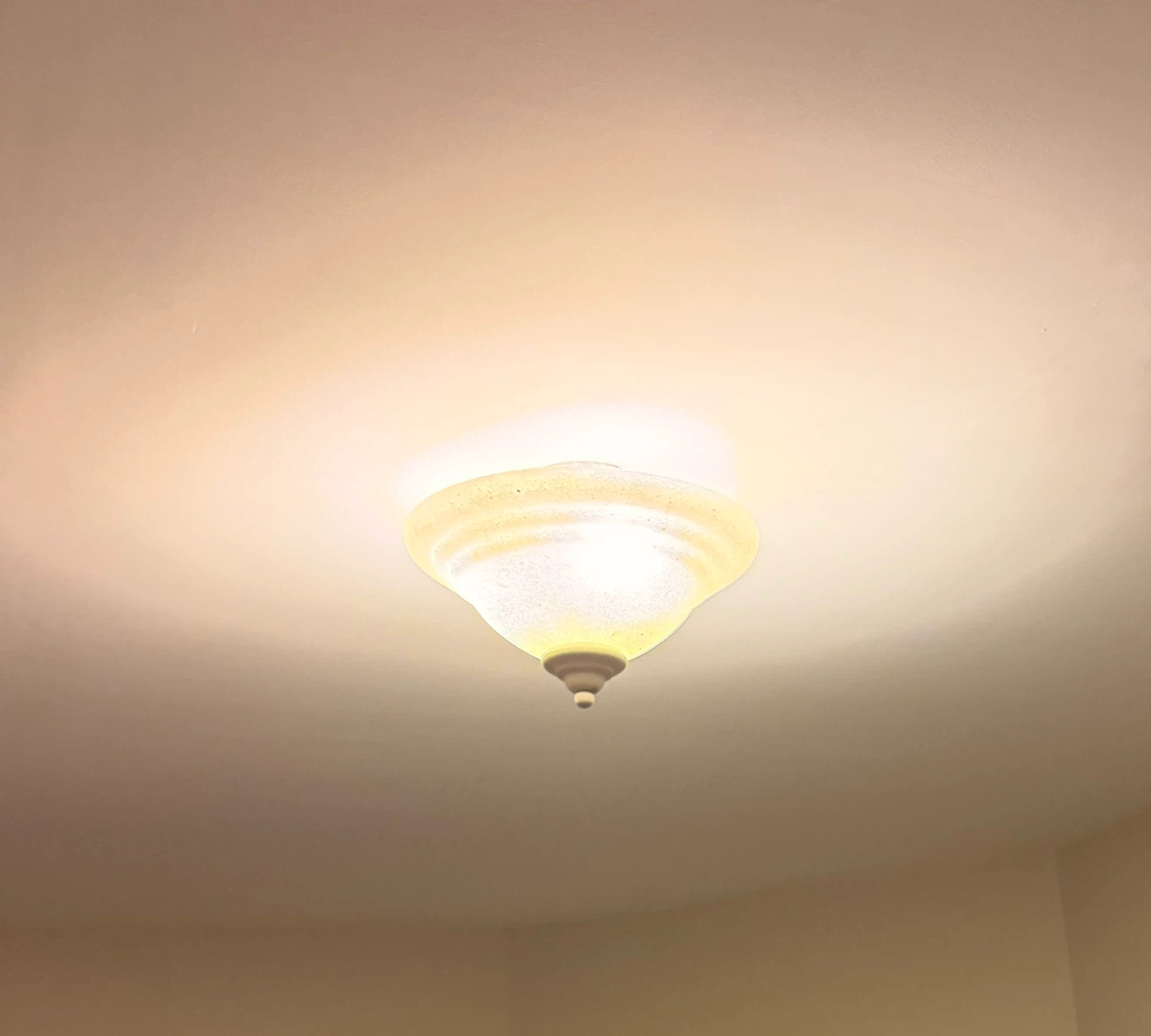 Flush Mount Ceiling Light Fixture - photo 3
