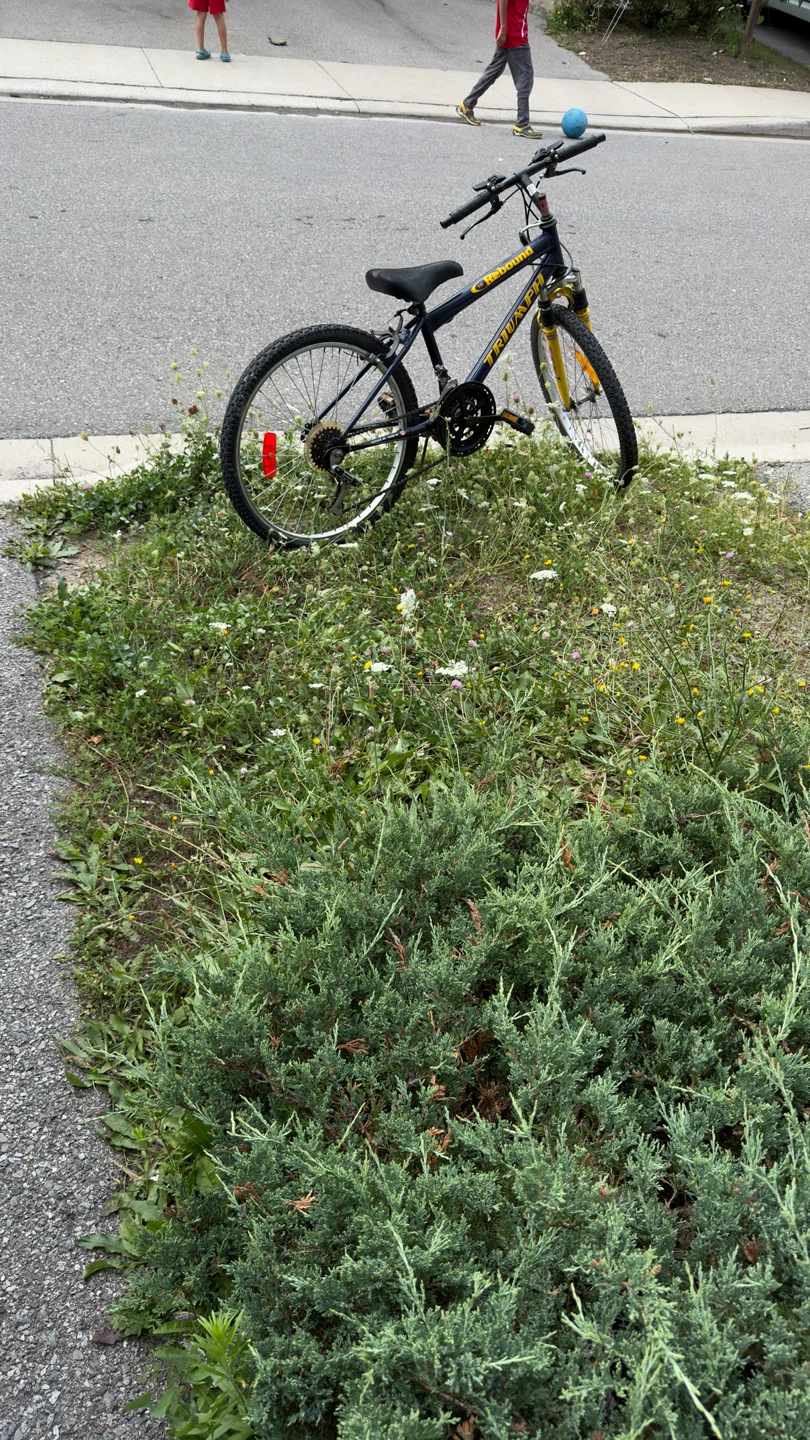 Triumph Rebound Mountain Bike