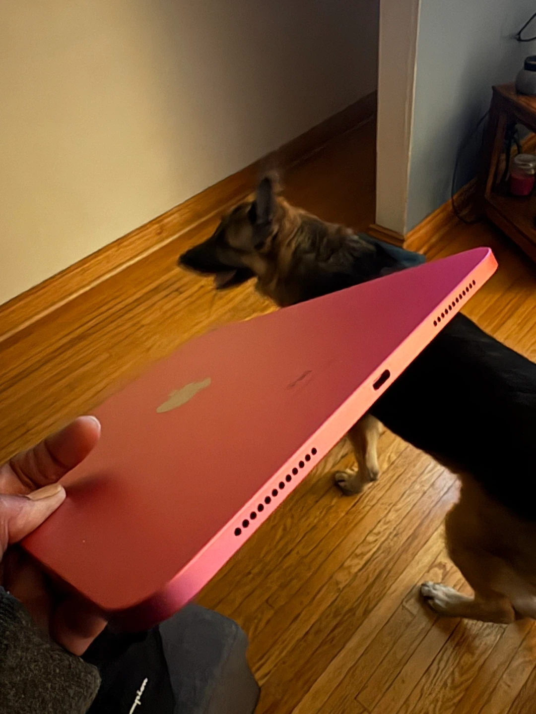 iPad (10th generation) 64 GB - photo 4