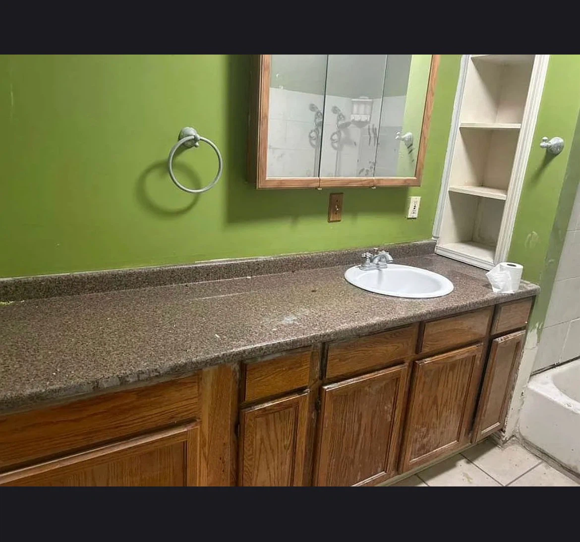 Lansing Illinois home for sale - photo 3