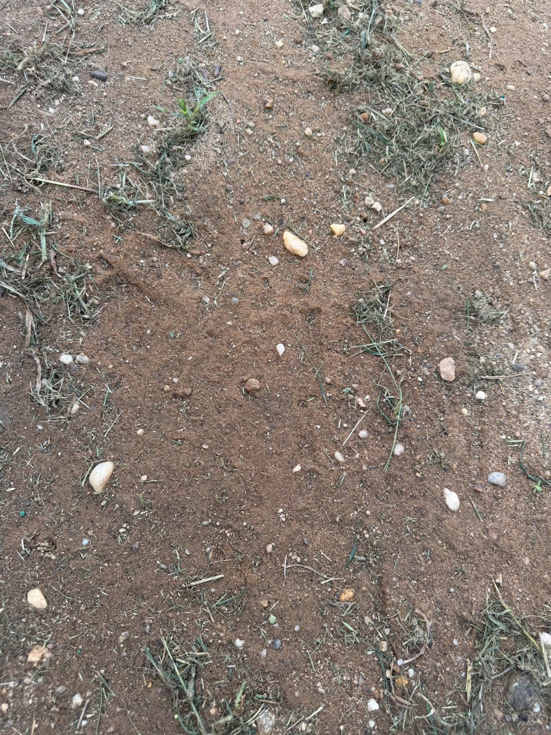 Free dirt - photo 2