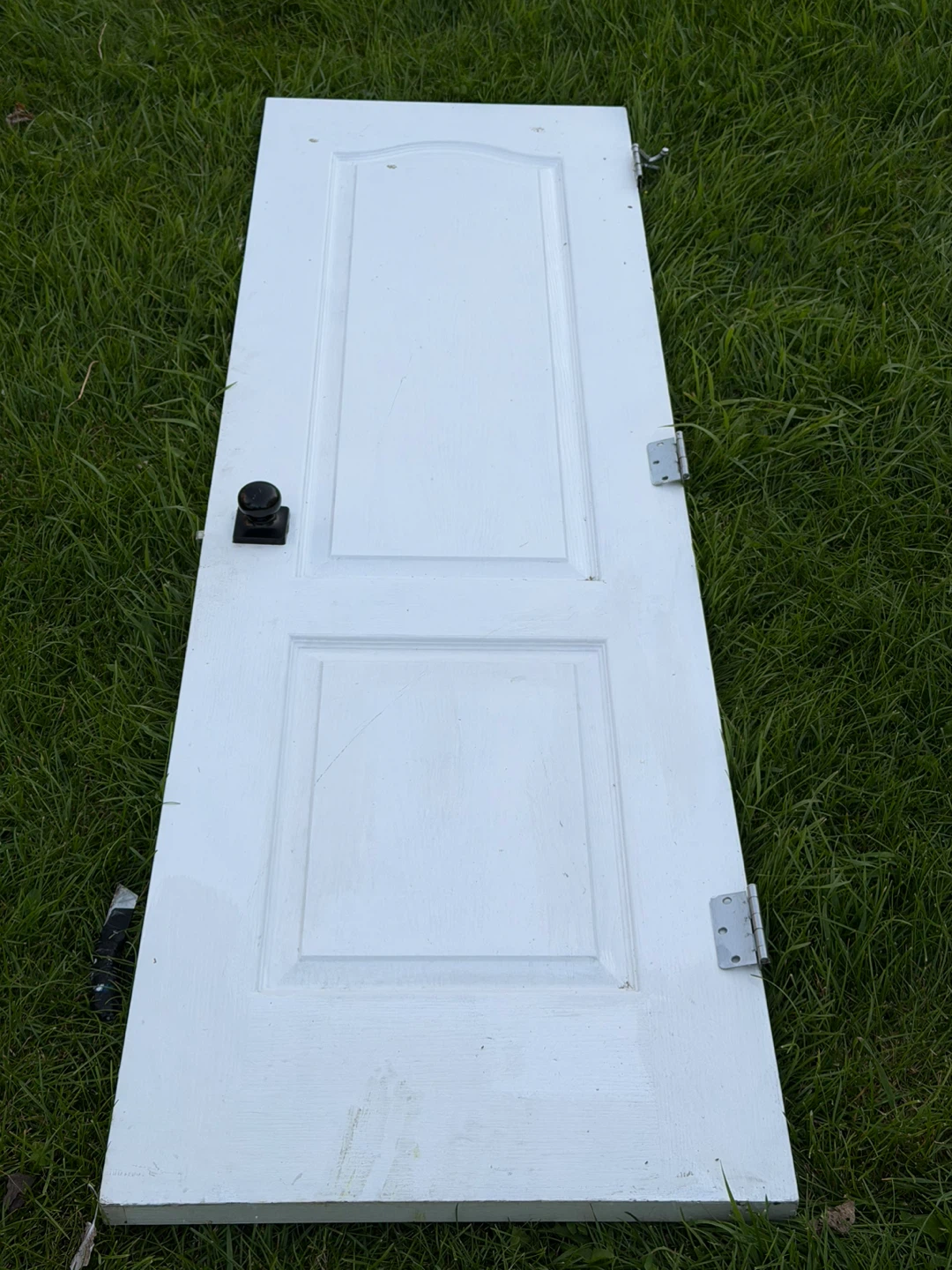 Door with handle and hinges for closet or room