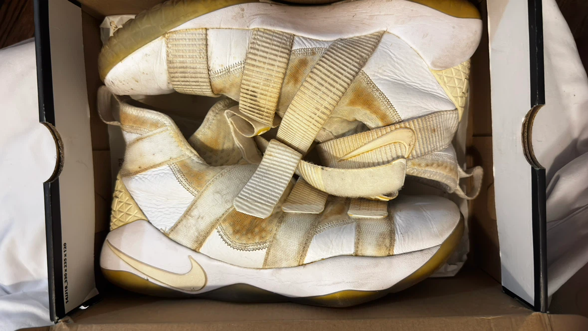 Nike LeBron James Basketball Shoes