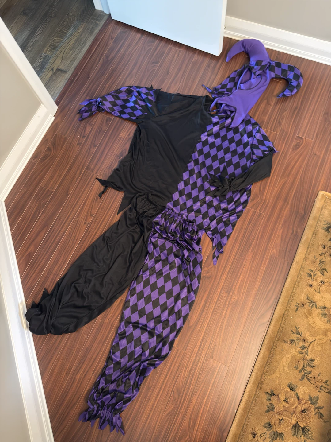 Jester Halloween Costume - One Size