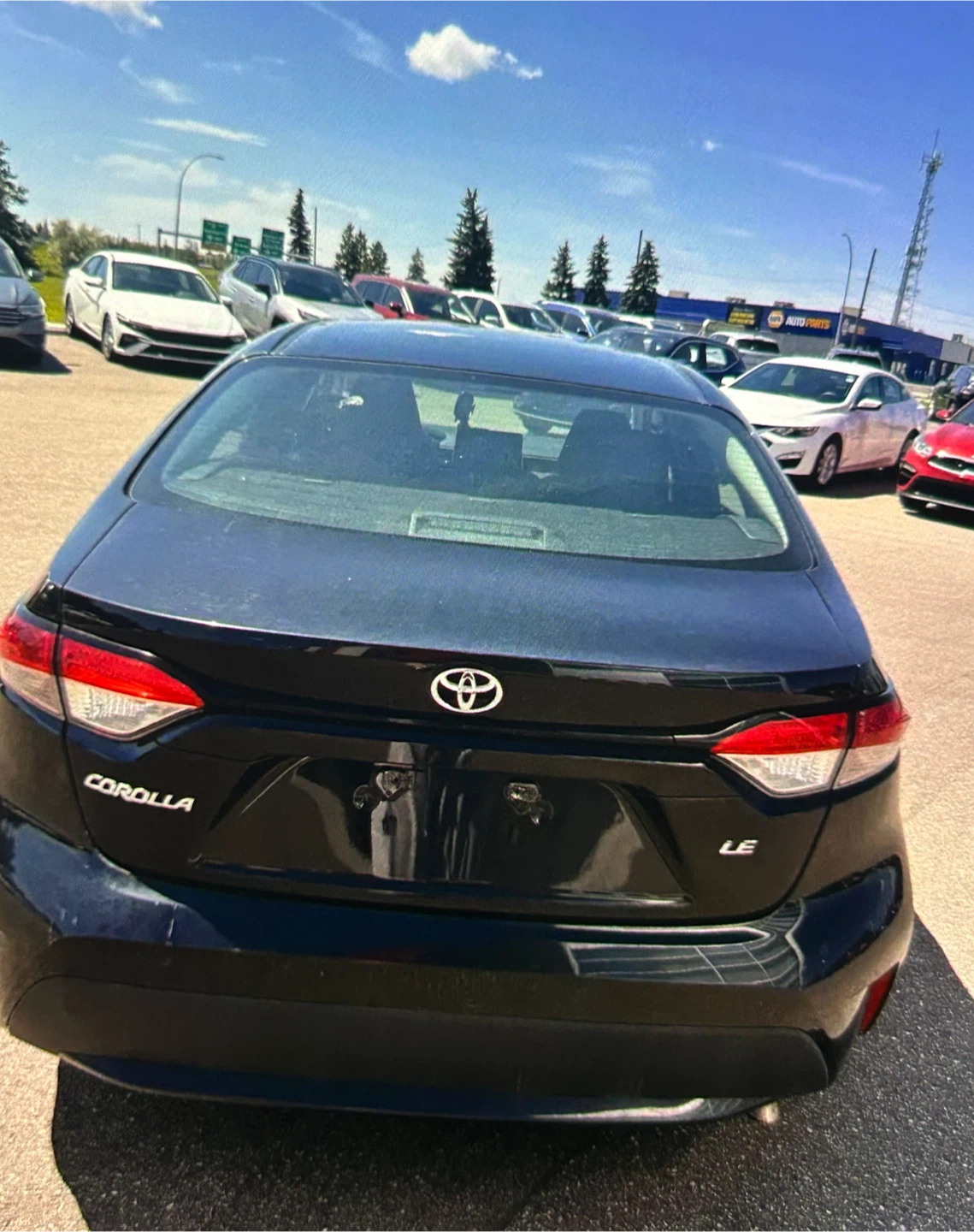 Toyota Corolla LE Sedan - photo 5