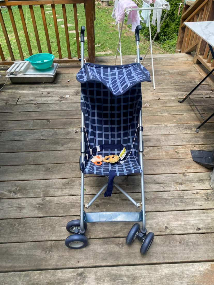 Blue Plaid Baby Stroller - photo 4