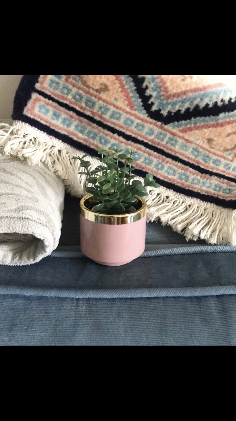 Lovely Pink & Gold Ceramic Plant Pot ✨+FREE Insert