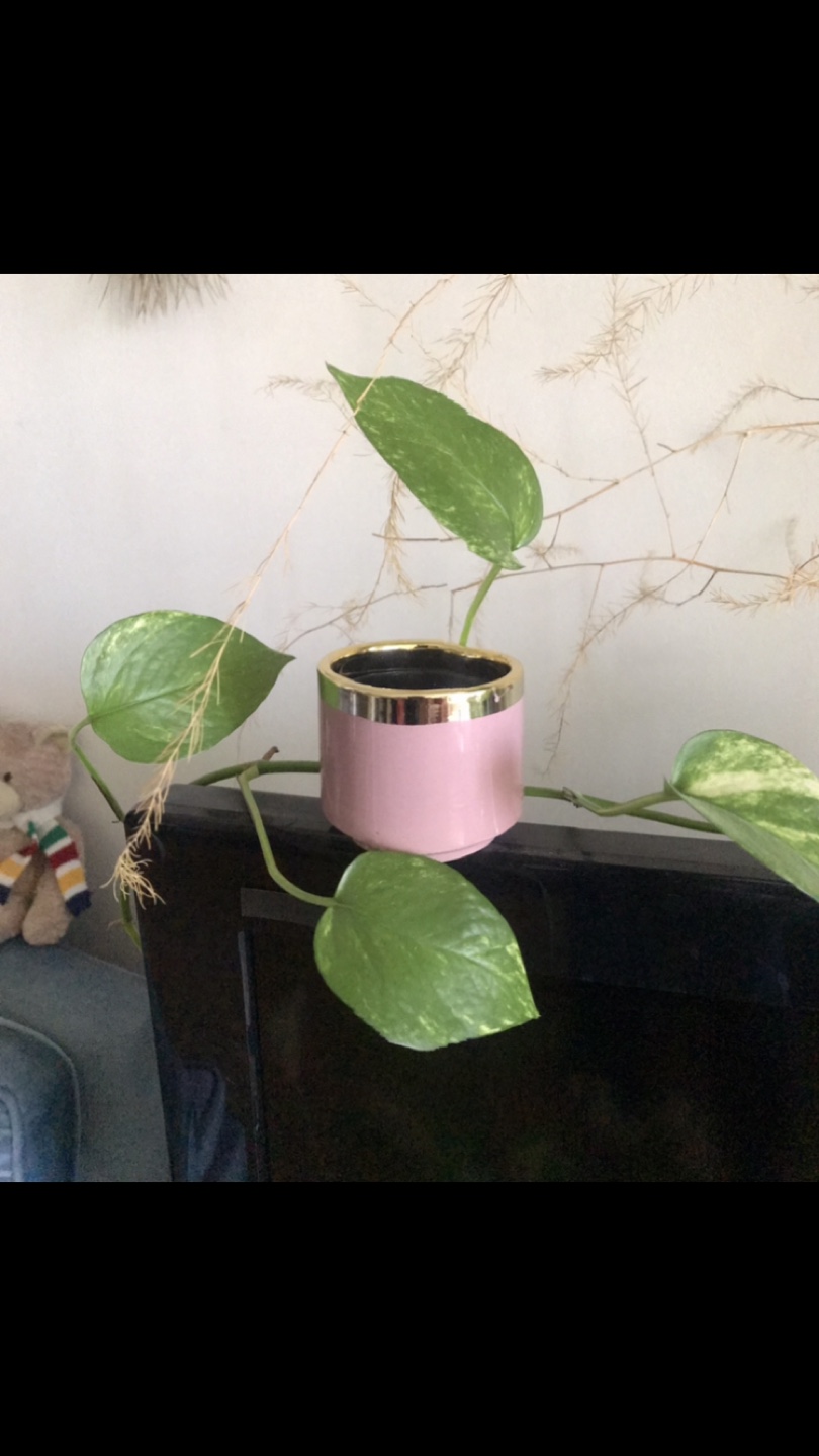 Lovely Pink & Gold Ceramic Plant Pot ✨+FREE Insert - photo 5