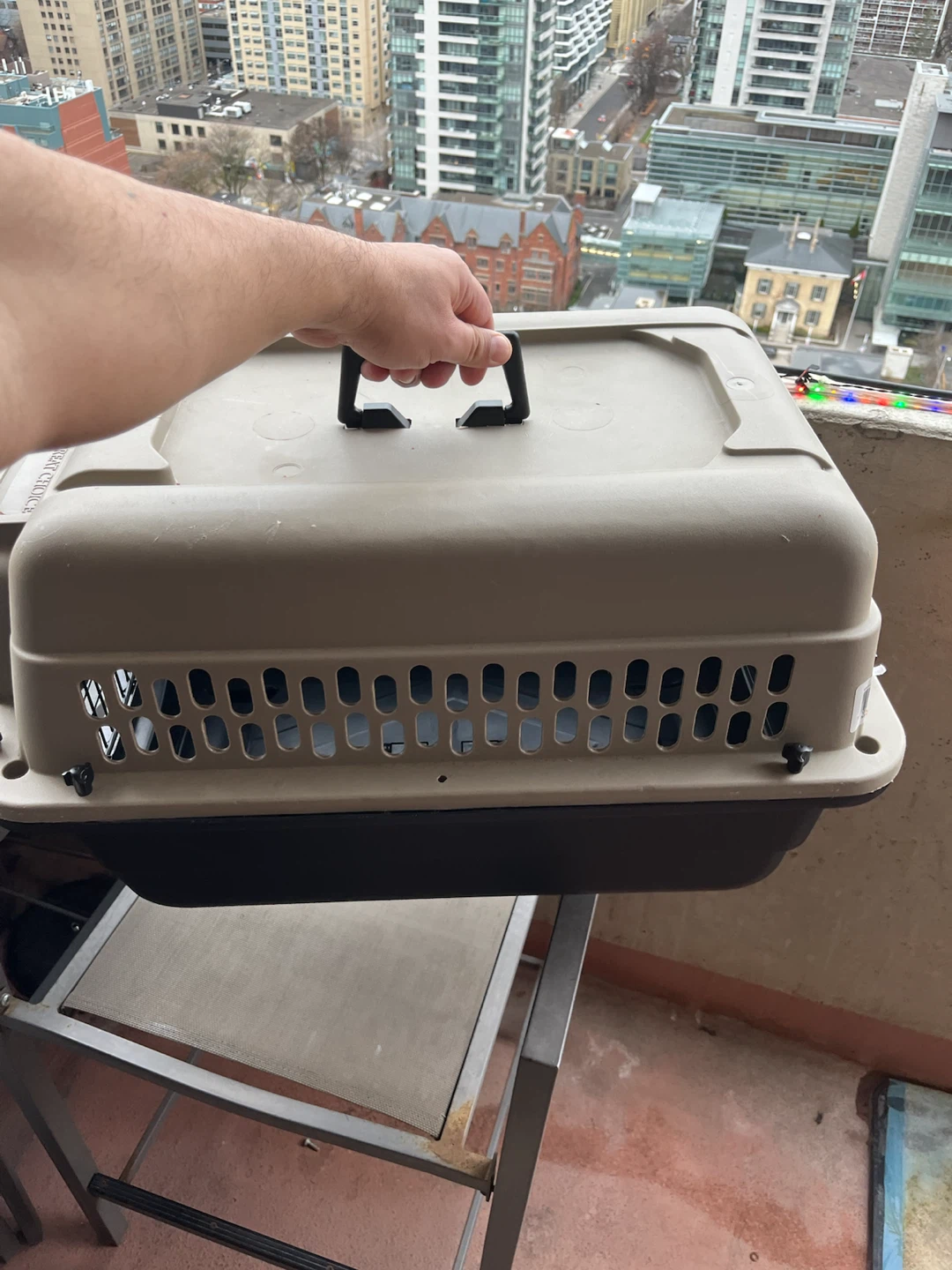 Pet Carrier