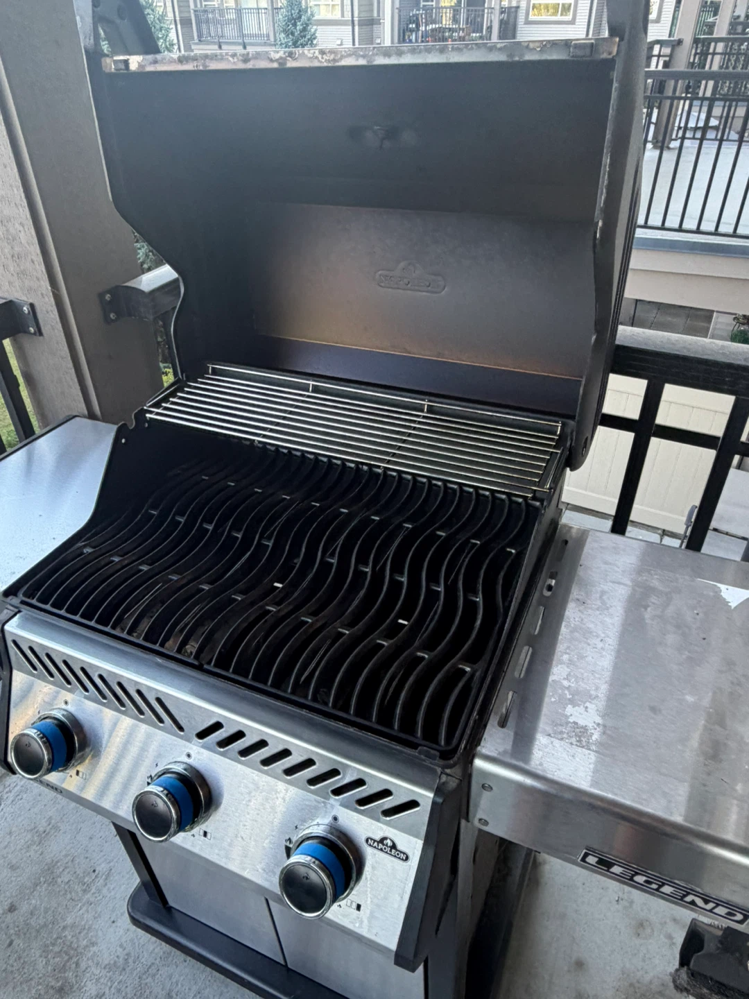 Barbecue - photo 4