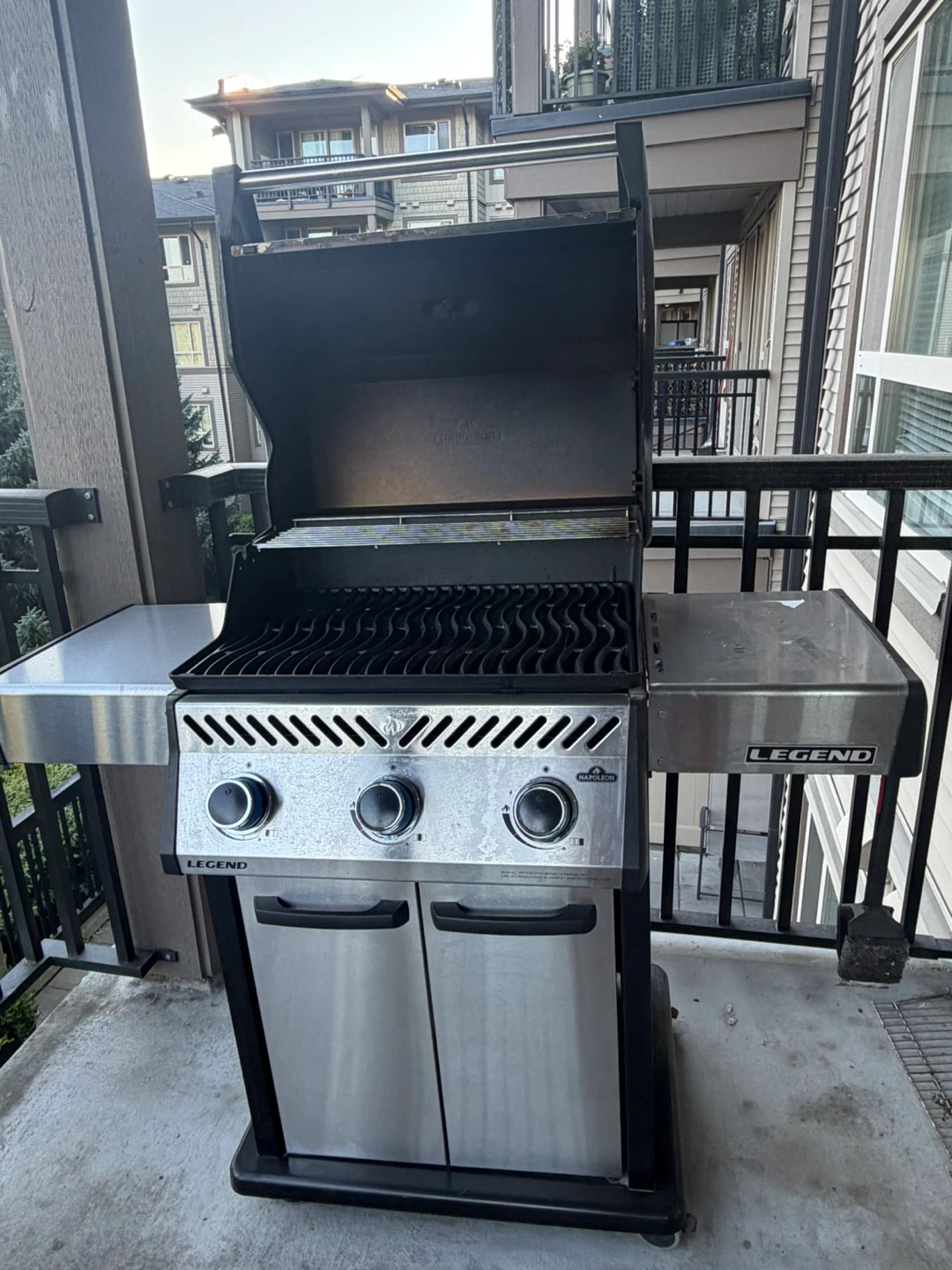 Barbecue - photo 5