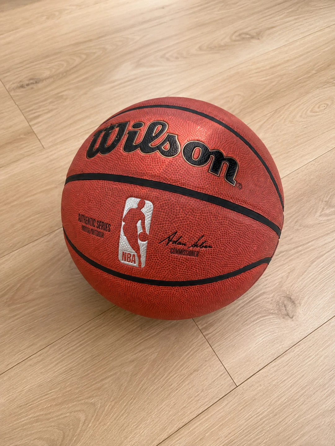 Wilson NBA Series Basketball