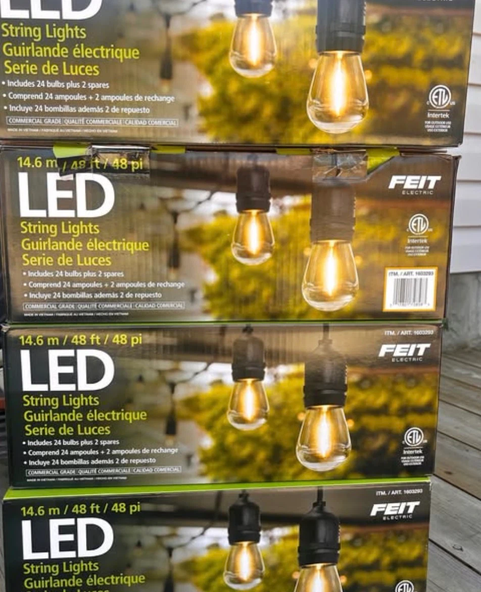 FEIT ELECTRIC LED String Lights 14.6 m / 48 ft