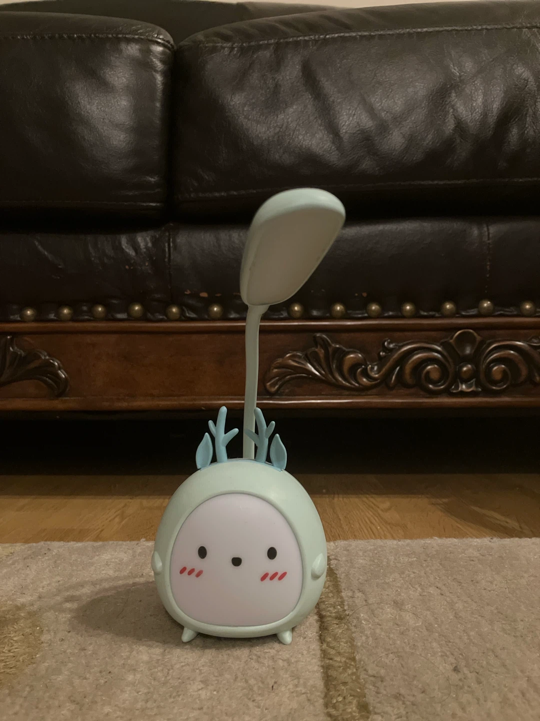 Cute Desk Lamp