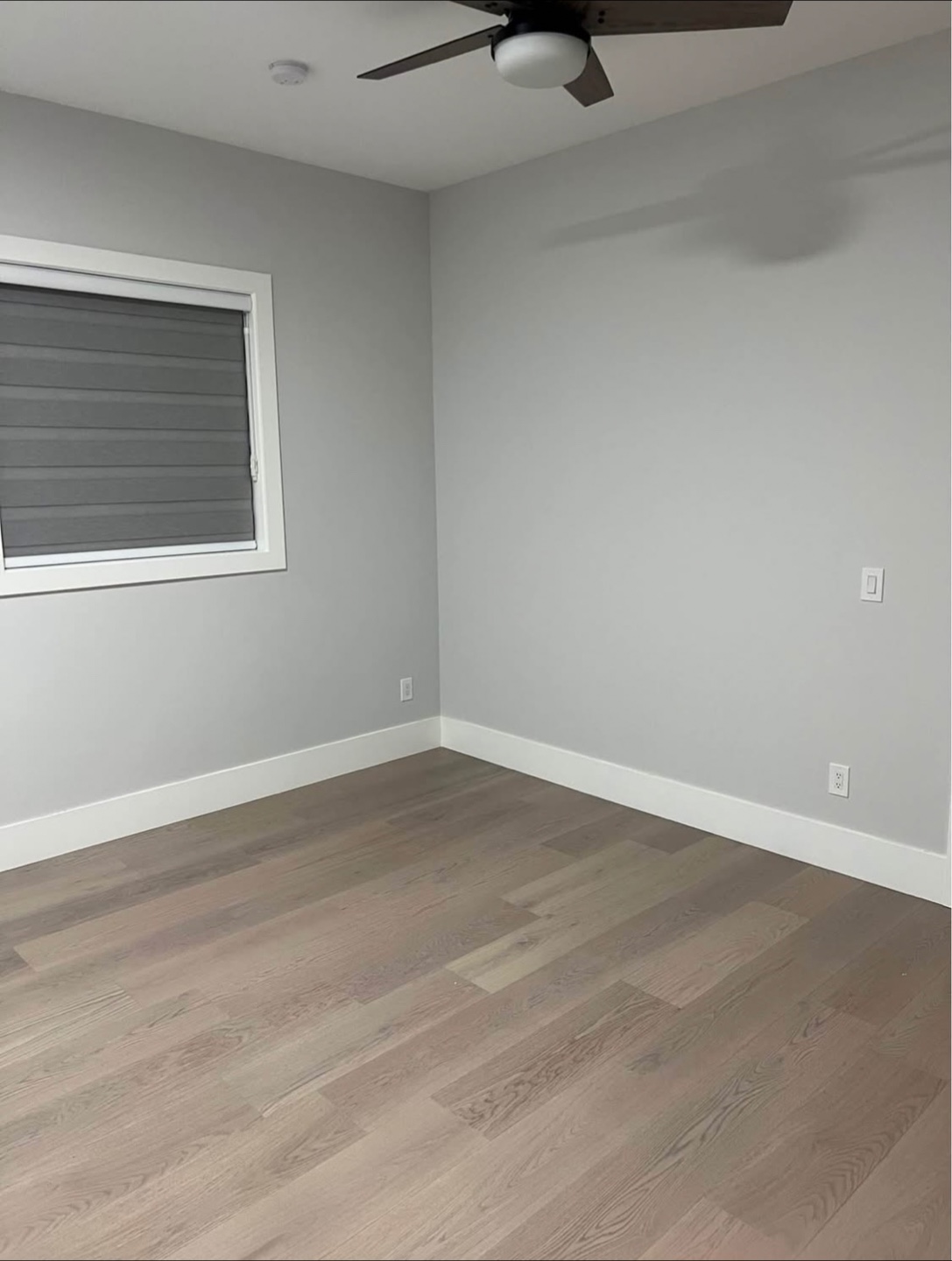 Basement for rent - photo 3