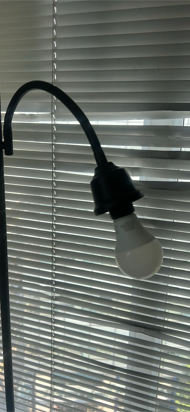 Black Combo Floor Lamp with Adjustable Reading Light - photo 4