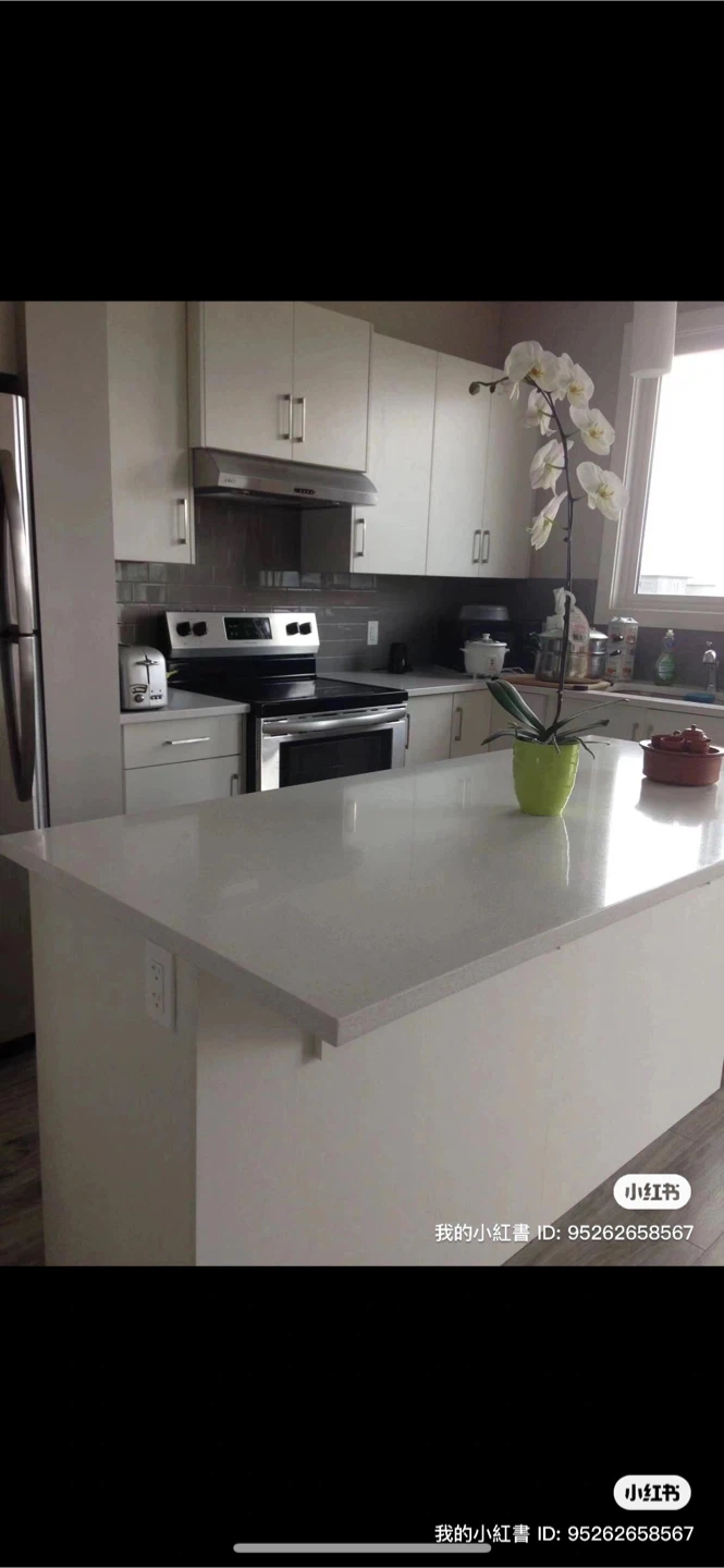 2 bedroom 2 bath house - photo 2
