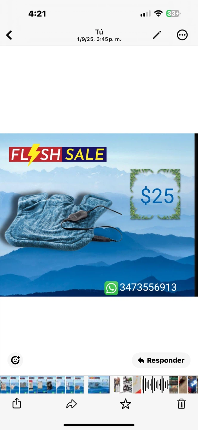 Blue Heated Mittens