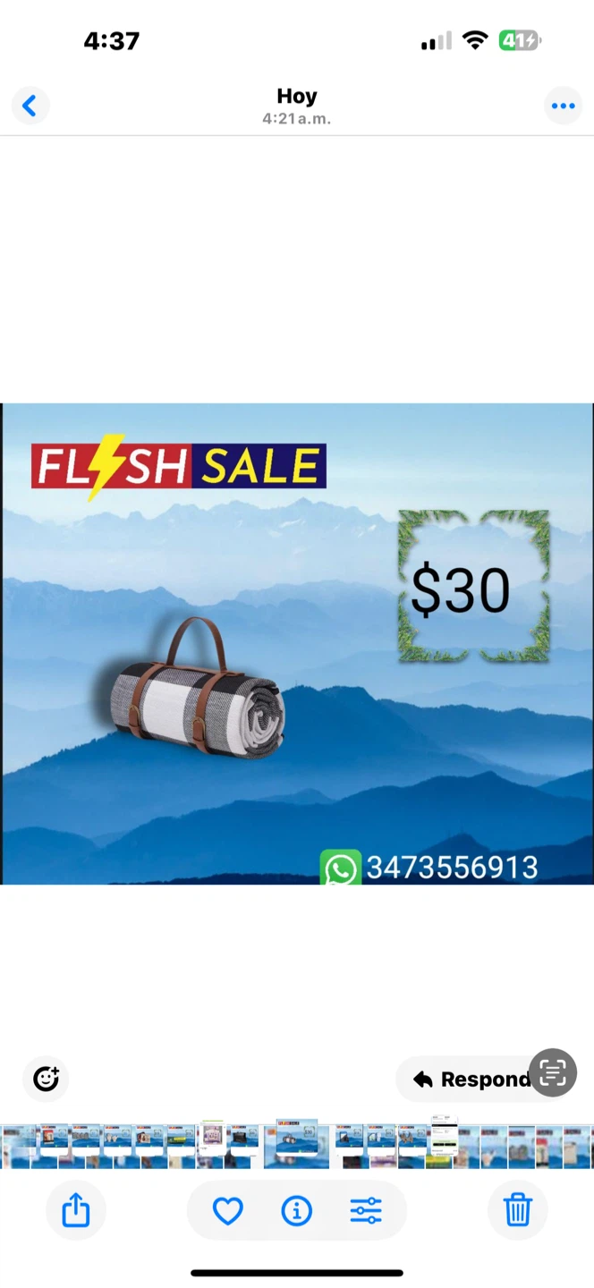 Picnic Blanket with Handle