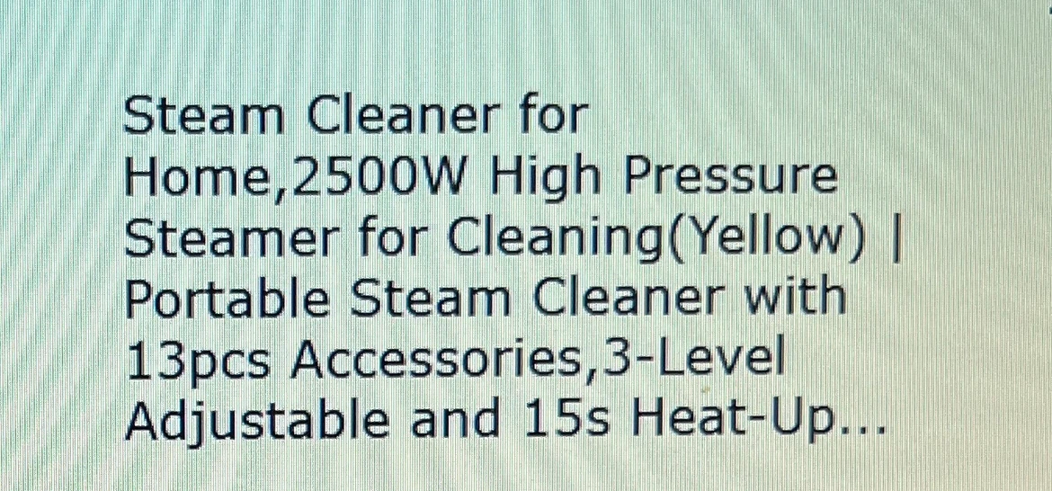 Gautye Handheld Steam Cleaner with 13 pcs Accessories - photo 4
