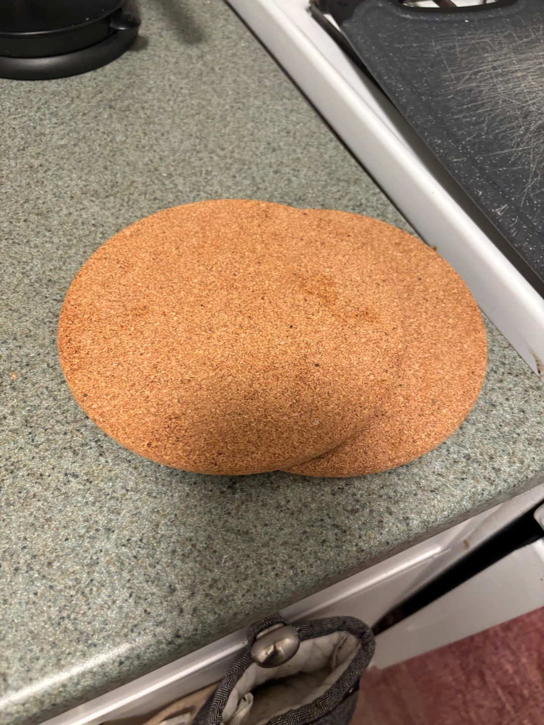 Cork Trivets - Set of 2