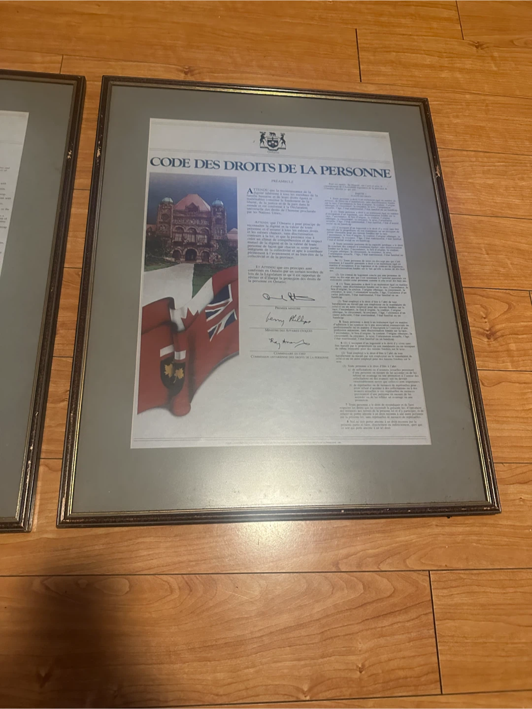 Human Rights Code, Framed - photo 3