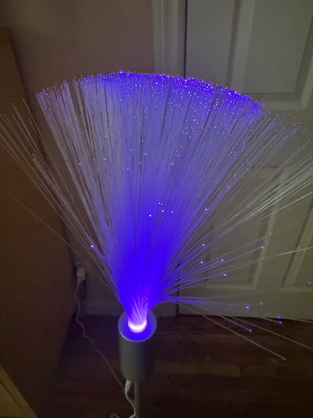 Fiber Optic Lamp