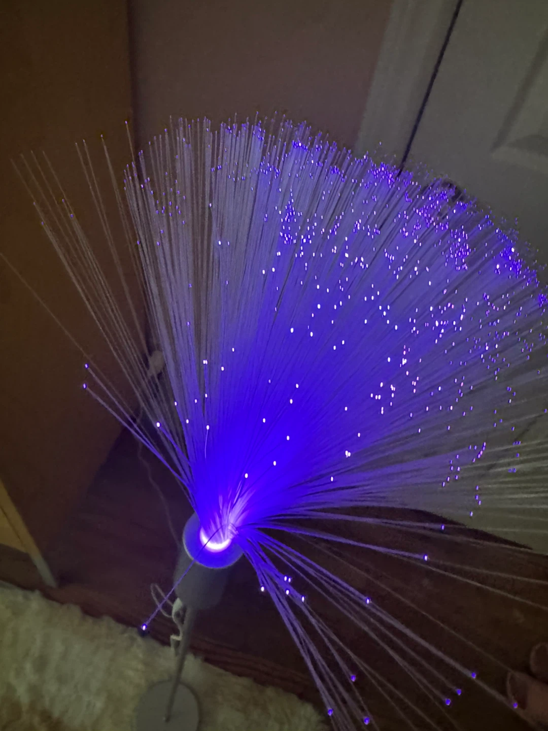 Fiber Optic Lamp - photo 4