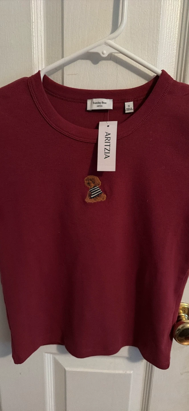 Women Aritzia Sunday best little ribbed icon t shirt