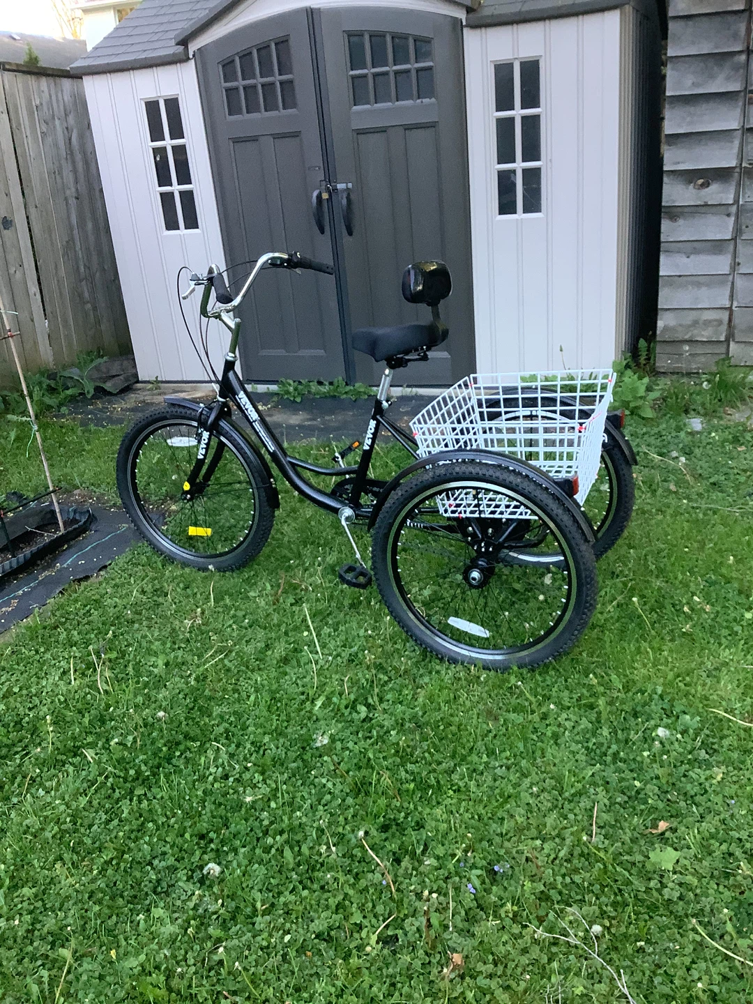 Black Tricycle with Basket