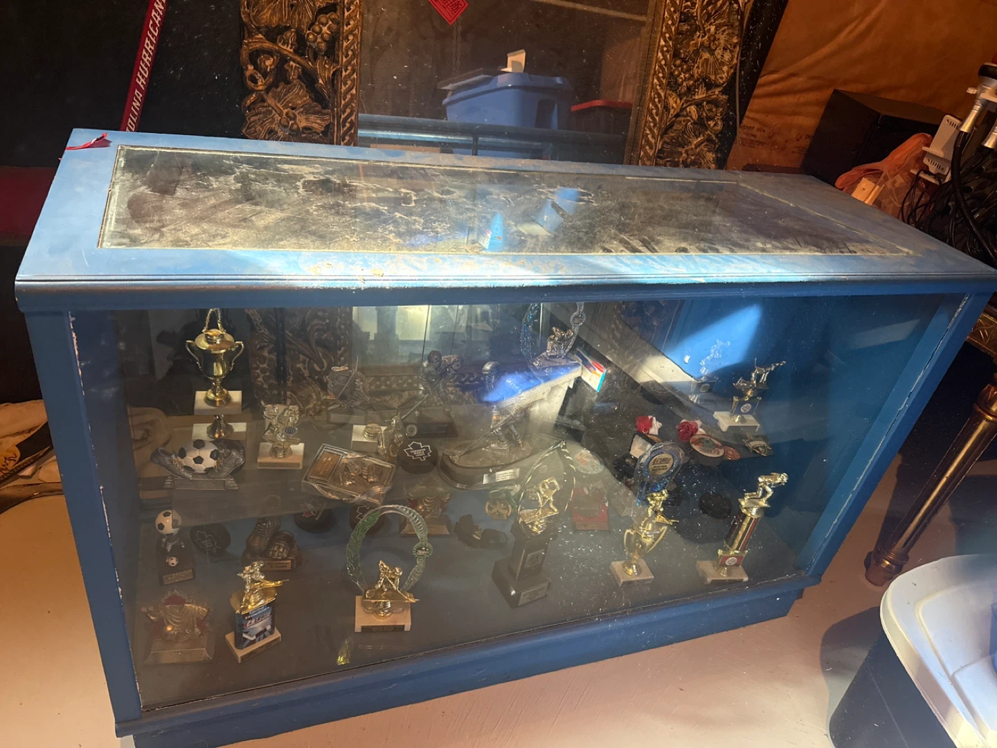 Blue Display Case Cabinet