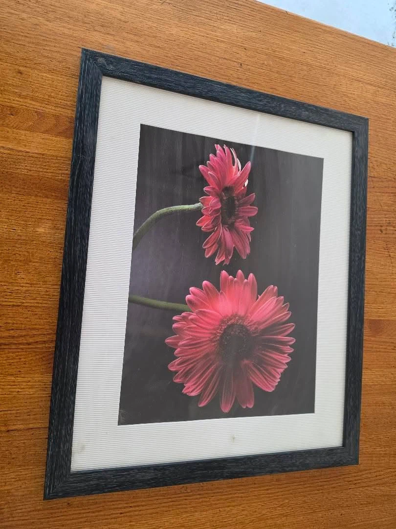 Framed Cappuccino and Flower Art Prints