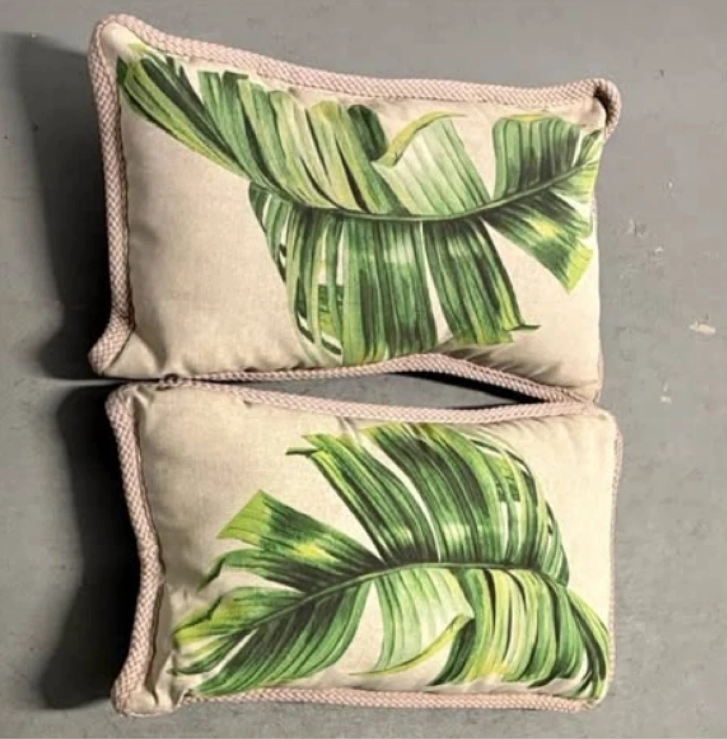 NEW. Indoor Outdoor Cushions - Set of 2 🍁