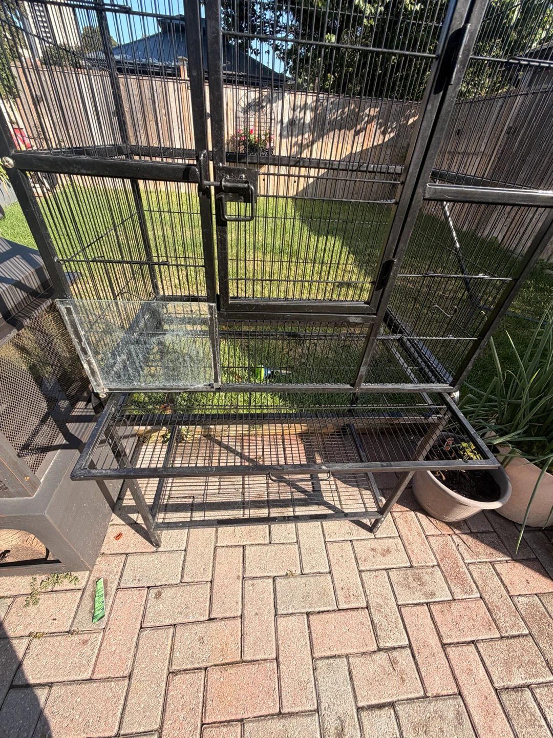 Large Black Bird Cage - photo 3