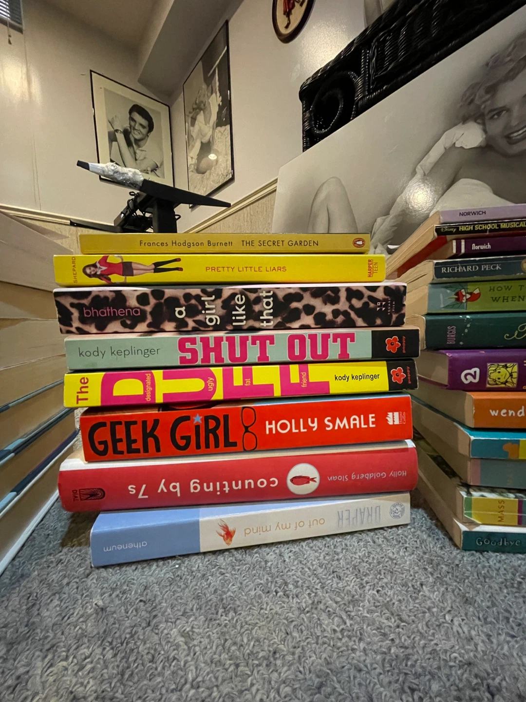 Bundle of pre teen books (ages 10-12) - $5 for all