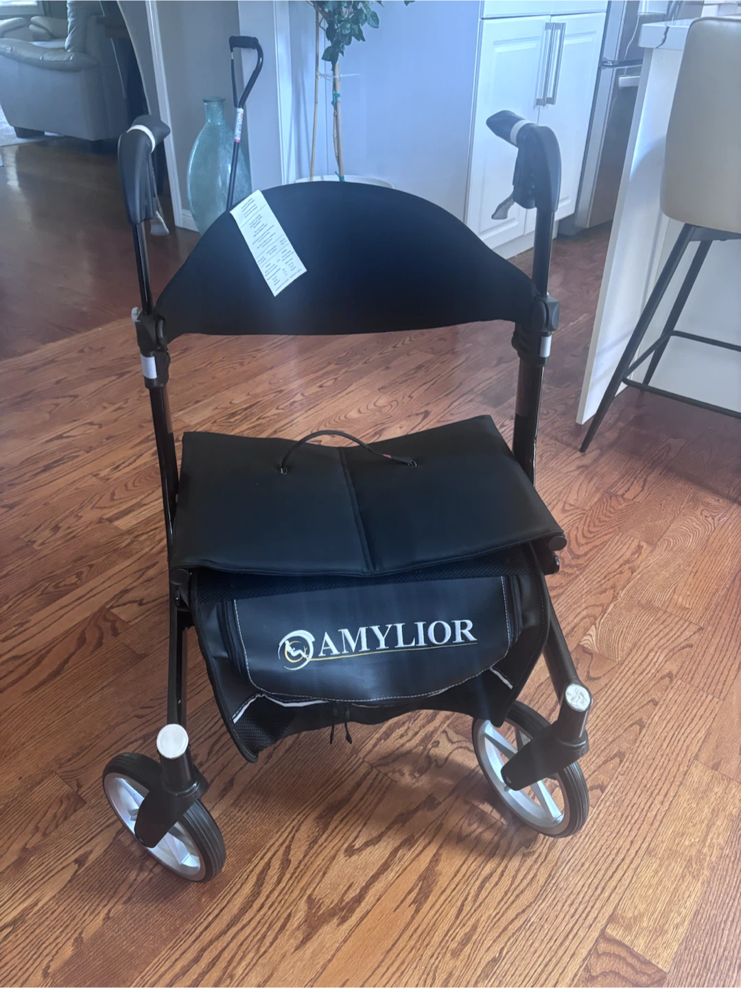 AMYLIOR Stella Walker