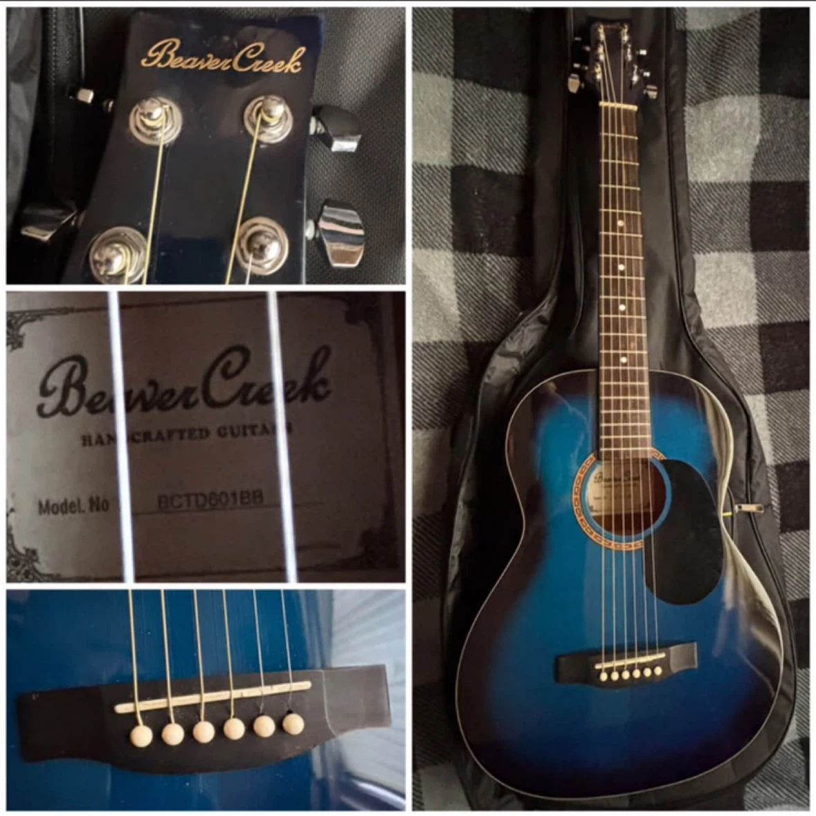 Beaver Creek (BCTD601BB) Acoustic Guitar - *Blue/With Bag*