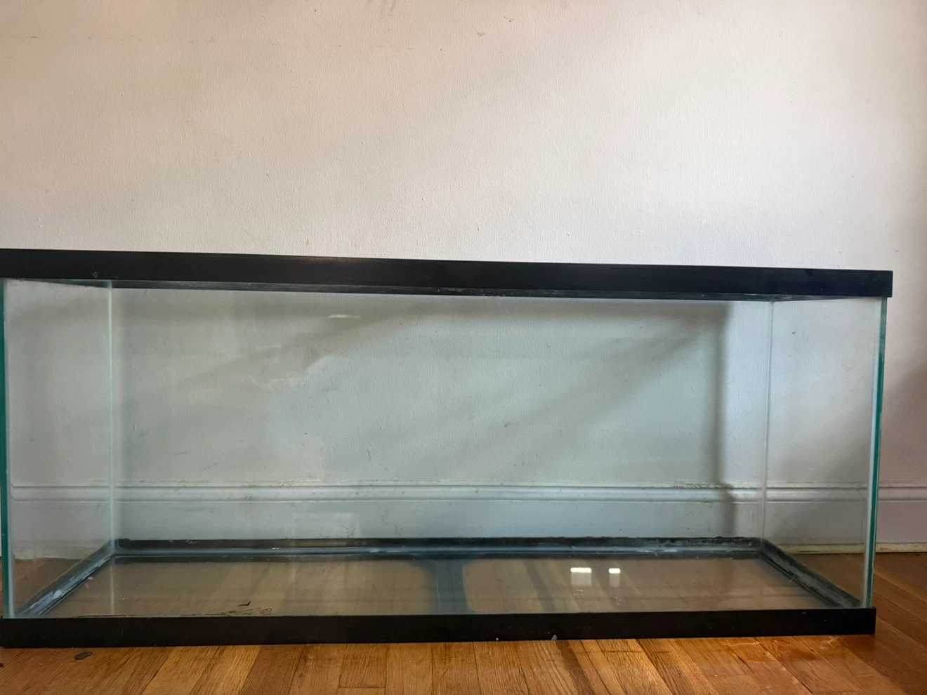 55 gallon Fish Tank