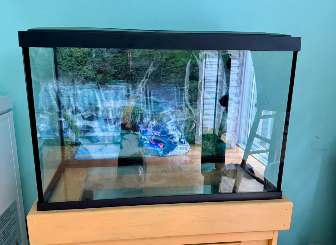 Glass Aquarium Tank and Stand - photo 2